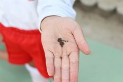 s-IMG_8320
